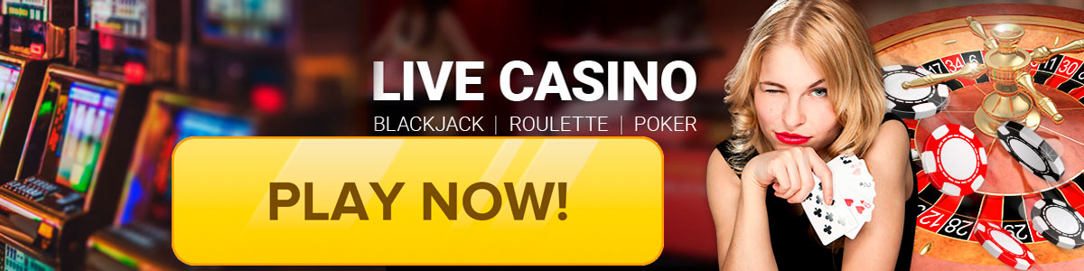 Play Casino Dingo now!